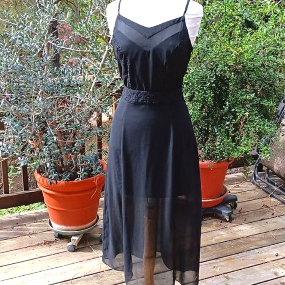 Ladakh Lace and Sheer Black Evening Dress Whimsigoth